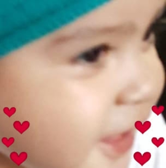 carlotatoledo